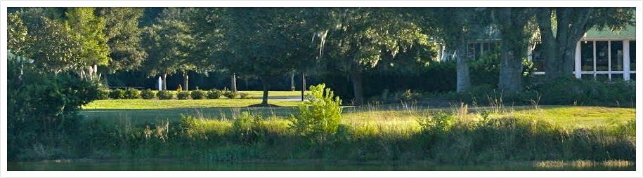 Henderson Golf Club Savannah GA banner NICE